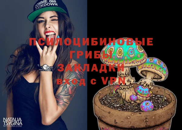Альфа ПВП Алексин